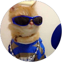 Devansh Pathak profile picture